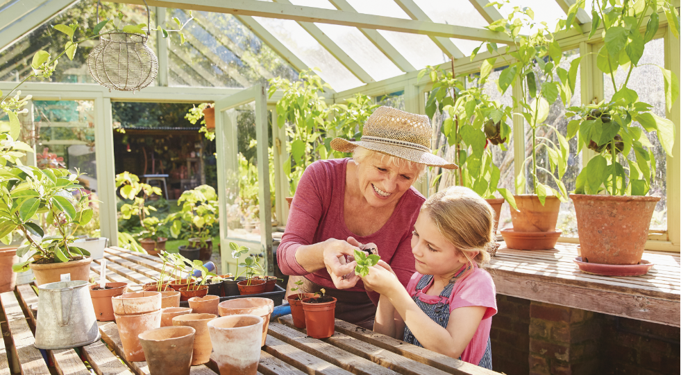 Grandmother and daughter potting seedlings